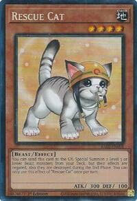 Rescue Cat (Alternate Art) (PCR) - 25th Anniversary Rarity Collection II - YuGiOh card