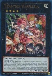 Traptrix Rafflesia (UR) - 25th Anniversary Rarity Collection II - YuGiOh card