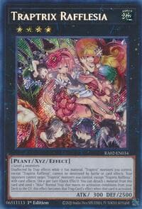 Traptrix Rafflesia (Secret Rare) - 25th Anniversary Rarity Collection II - YuGiOh card