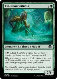Evolution Witness - Modern Horizons 3 - Magic: The Gathering card