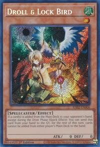 Droll & Lock Bird (Secret Rare) - 25th Anniversary Rarity Collection II - YuGiOh card