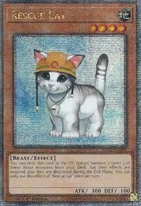Rescue Cat (Quarter Century Secret Rare) - 25th Anniversary Rarity Collection II - YuGiOh card