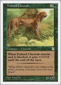 Trained Cheetah - Portal Three Kingdoms - Magic: The Gathering card