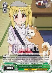 Candid and Likeable, Nijika Ijichi - BOCCHI THE ROCK! - Weiss Schwarz card
