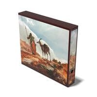 Artist Edition Collector's Album'n'Case: Mario Renaud - The Search - Ultimate Guard Storage Albums - Storage Albums card