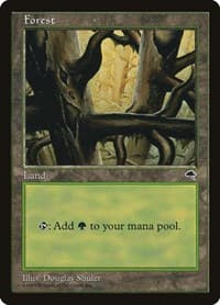 Forest (Ledge) - Tempest - Magic: The Gathering card