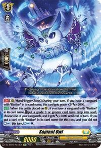 Sapient Owl - DZ-SS01: Festival Booster 2024 - Cardfight Vanguard card