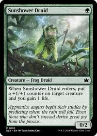 Sunshower Druid - Bloomburrow - Magic: The Gathering card