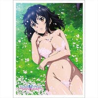 Curtain Damashii: Strike the Blood - Yukina Himeragi (65-Sleeves) - Curtain Damashii Imported Card Sleeves - Card Sleeves card