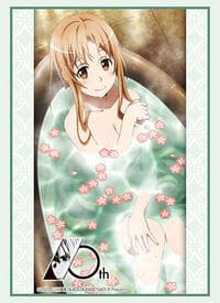Bushiroad Sleeve Collection HG Vol. 3815: Sword Art Online 10th Anniversary - Asuna Part.5 (75-Sleeves) - Bushiroad Card Sleeves - Card Sleeves card