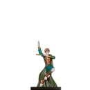 Banshrae Warrior - Dangerous Delves - D & D Miniatures card