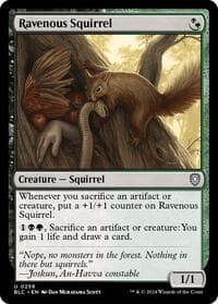 Ravenous Squirrel - Commander: Bloomburrow - Magic: The Gathering card