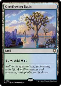 Overflowing Basin - Commander: Bloomburrow - Magic: The Gathering card