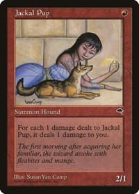 Jackal Pup - Tempest - Magic: The Gathering card