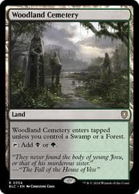 Woodland Cemetery - Commander: Bloomburrow - Magic: The Gathering card