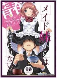 Chara Sleeve Collection Matte Series No.MT882: Seishun Fragile Toune Uduki (65-Pack) - Movic Imported Card Sleeves - Card Sleeves card