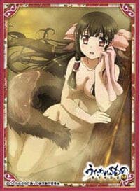 Ensky Imported Card Sleeves: Utawarerumono: Itsuwari no Kamen - Rurutie C (65 Pack) - Ensky Card Sleeves - Card Sleeves card