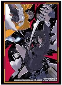 Bushiroad Sleeve Collection HG Vol. 4249: Dengeki Bunko Durarara!! - Anri Sonohara/Masaomi Kida/Mikado Ryugamine (75-Sleeves) - Bushiroad Card Sleeves - Card Sleeves card