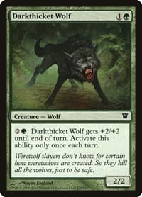 Darkthicket Wolf - Innistrad - Magic: The Gathering card