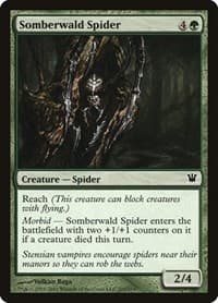 Somberwald Spider - Innistrad - Magic: The Gathering card