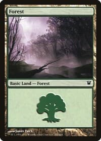 Forest (262) - Innistrad - Magic: The Gathering card
