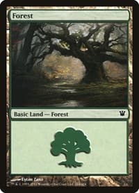 Forest (264) - Innistrad - Magic: The Gathering card