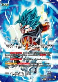 Son Goku & Vegeta // SSB Vegito, Shining Warrior - Expansion Deck Box Set 24: Premium 7th Anniversary Box 2024 - Dragon Ball Super: Masters card