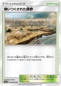 Devoured Field - SM6a: Dragon Storm - Pokemon Japan card