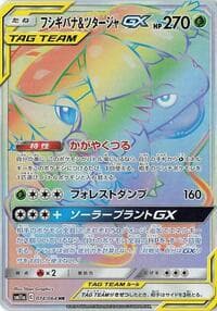 Venusaur & Snivy GX - SM11a: Remix Bout - Pokemon Japan card