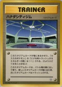 Cerulean City Gym - Leaders' Stadium - Pokemon Japan card