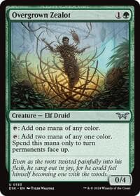 Overgrown Zealot - Duskmourn: House of Horror - Magic: The Gathering card
