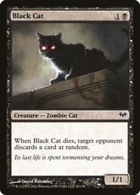 Black Cat - Dark Ascension - Magic: The Gathering card
