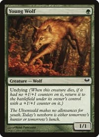 Young Wolf - Dark Ascension - Magic: The Gathering card