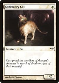 Sanctuary Cat - Dark Ascension - Magic: The Gathering card