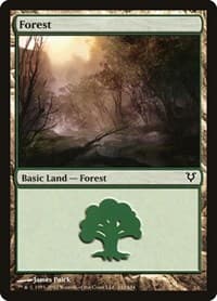 Forest (242) - Avacyn Restored - Magic: The Gathering card