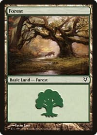 Forest (244) - Avacyn Restored - Magic: The Gathering card