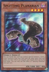 Splitting Planarian - Rage of the Abyss - YuGiOh card