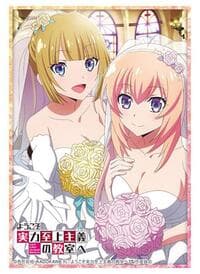 Bushiroad Sleeve Collection HG Vol.4204: Classroom of the Elite - Kei Karuizawa Honami Ichinose (75-Sleeves) - Bushiroad Card Sleeves - Card Sleeves card
