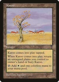 Karoo - Visions - Magic: The Gathering card