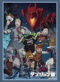Bushiroad Sleeve Collection HG Vol. 4230: Delicious in the Dungeon (75-Sleeves) - Bushiroad Card Sleeves - Card Sleeves card