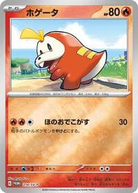 Fuecoco - 214/SV-P - SV-P Promotional Cards - Pokemon Japan card