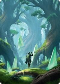 Forest Art Card (25/54) - Art Series: Foundations - Magic: The Gathering card