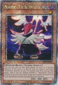 Blackwing - Vayu the Emblem of Honor (Quarter Century Secret Rare) - Quarter Century Bonanza - YuGiOh card