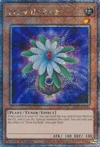 Glow-Up Bulb (Quarter Century Secret Rare) - Quarter Century Bonanza - YuGiOh card