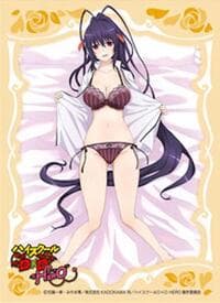 Chara Sleeve Collection Matte Series No.MT1872: High School DxD Hero - Akeno Himejima (65-Pack) - Movic Imported Card Sleeves - Card Sleeves card
