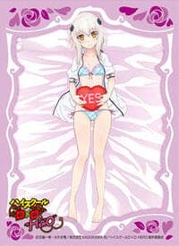 Chara Sleeve Collection Matte Series No.MT1873: High School DxD Hero - Koneko Toujou (65-Pack) - Movic Imported Card Sleeves - Card Sleeves card