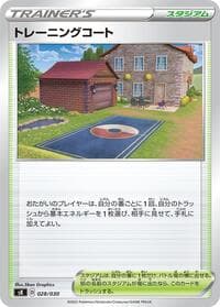 Training Court - sK: VSTAR Premium Trainer Box - Pokemon Japan card
