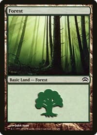 Forest (151) - Planechase 2012 - Magic: The Gathering card