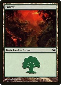 Forest (153) - Planechase 2012 - Magic: The Gathering card