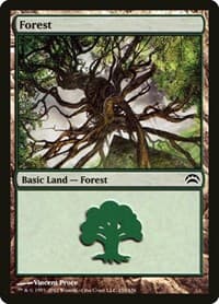 Forest (155) - Planechase 2012 - Magic: The Gathering card